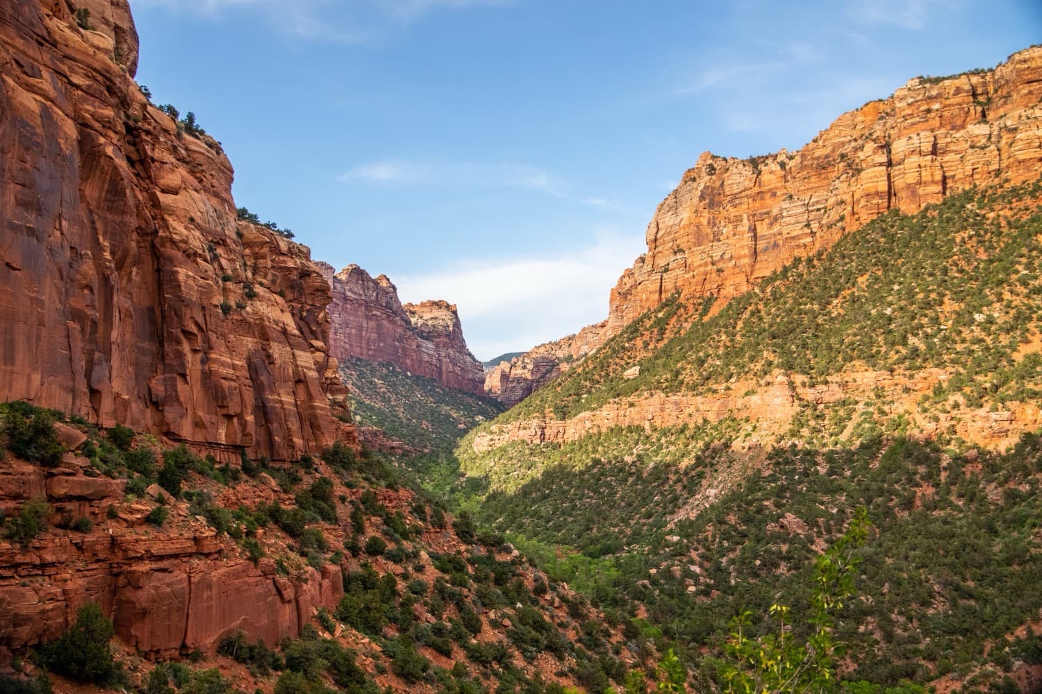The Complete Guide to Hiking Zion National Park
