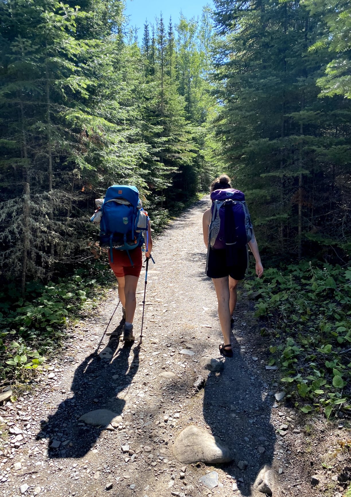 Close-up of pictographs