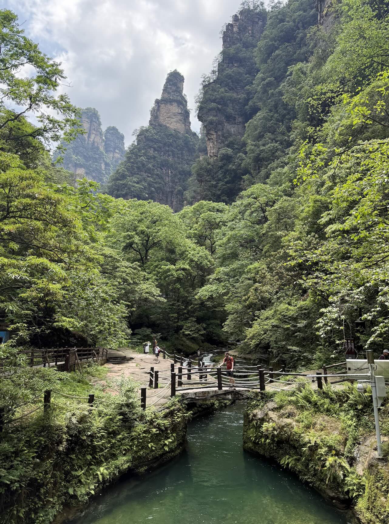 Kristian overlooking the stream